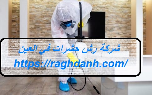 شركة رش حشرات في العين