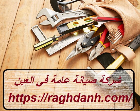 شركة صيانة عامة في العين