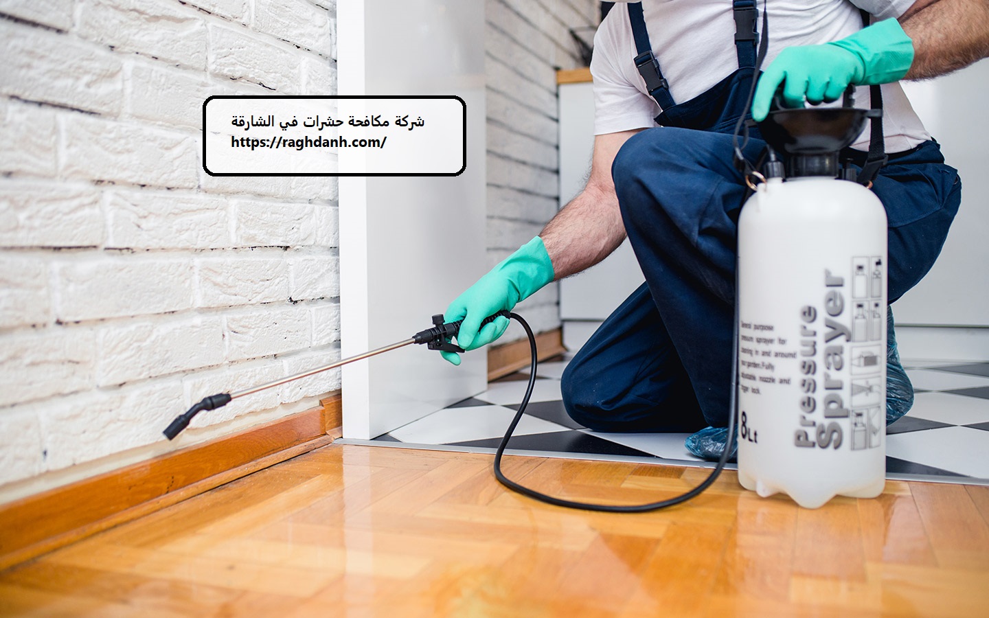 شركة مكافحة حشرات في الشارقة