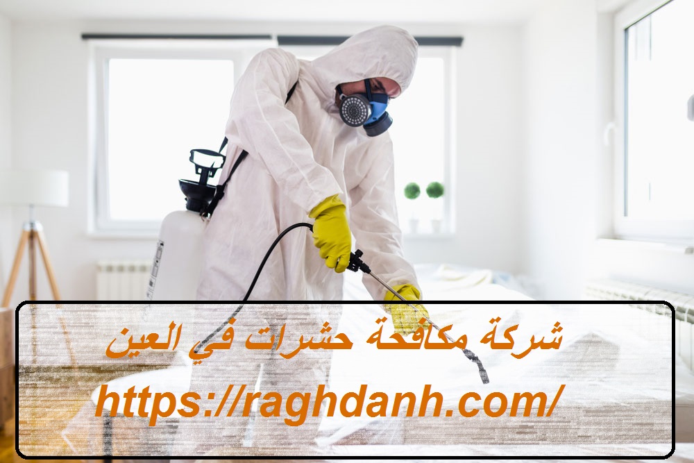 شركة مكافحة حشرات في العين