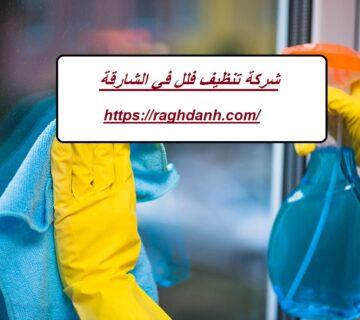 شركة تنظيف فلل في الشارقة