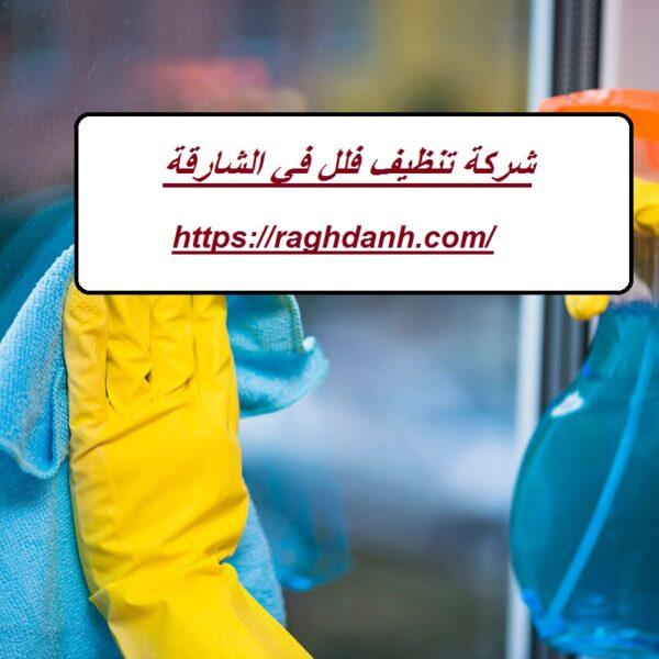 شركة تنظيف فلل في الشارقة