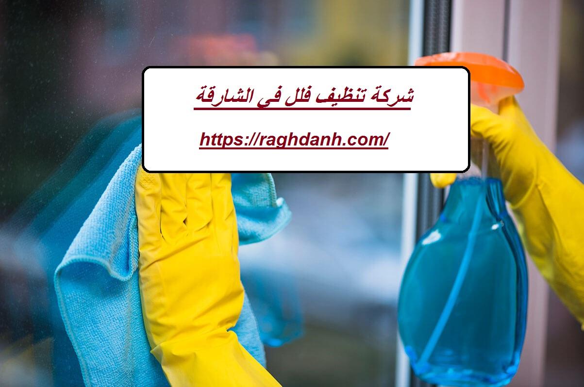 شركة تنظيف فلل في الشارقة