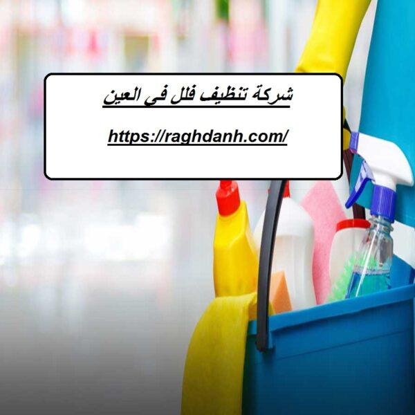 شركة تنظيف فلل في العين
