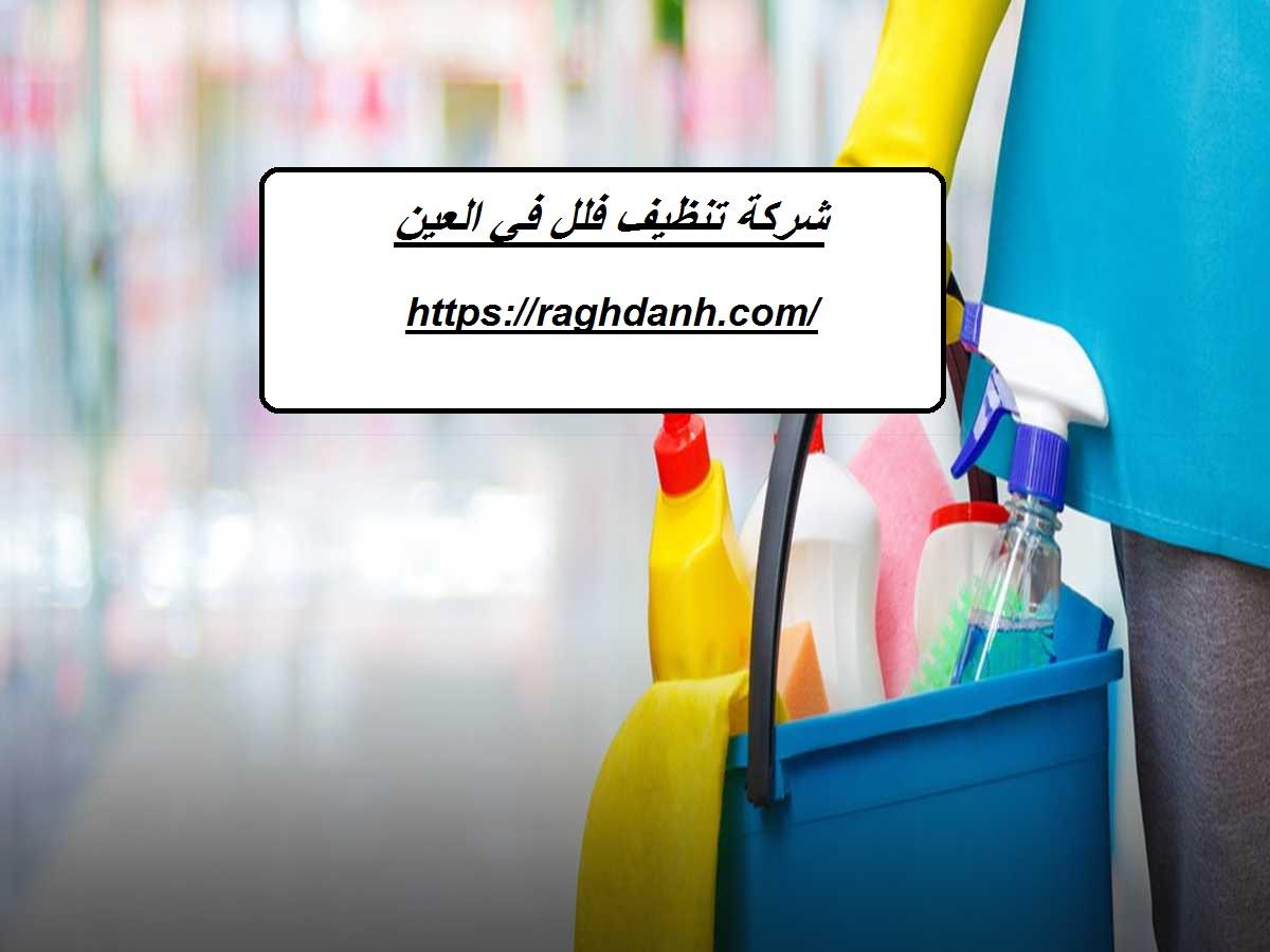 شركة تنظيف فلل في العين