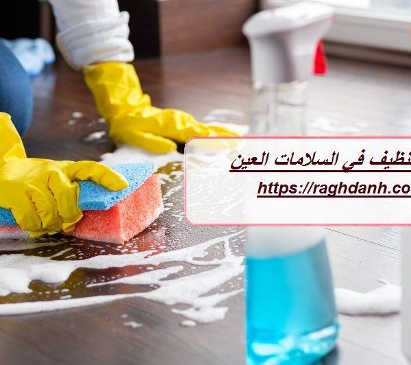 شركة تنظيف في السلامات العين