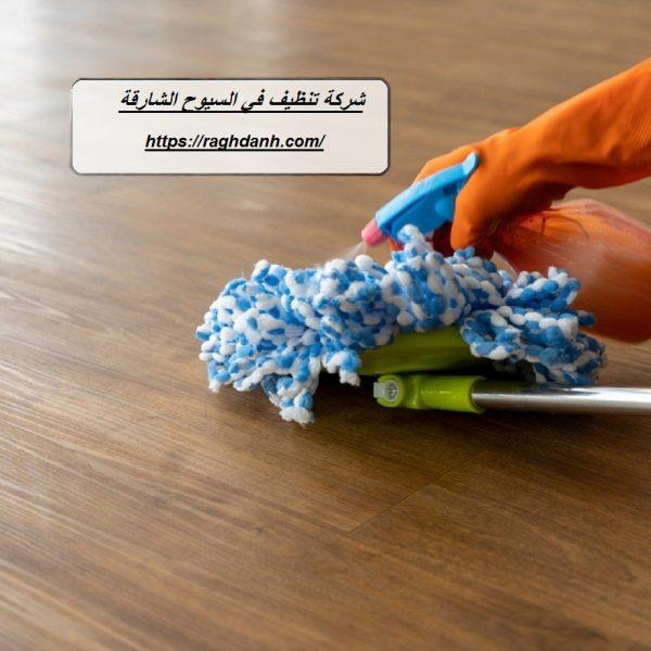 شركة تنظيف في السيوح الشارقة
