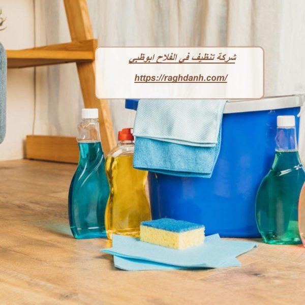 شركة تنظيف في الفلاح ابوظبي