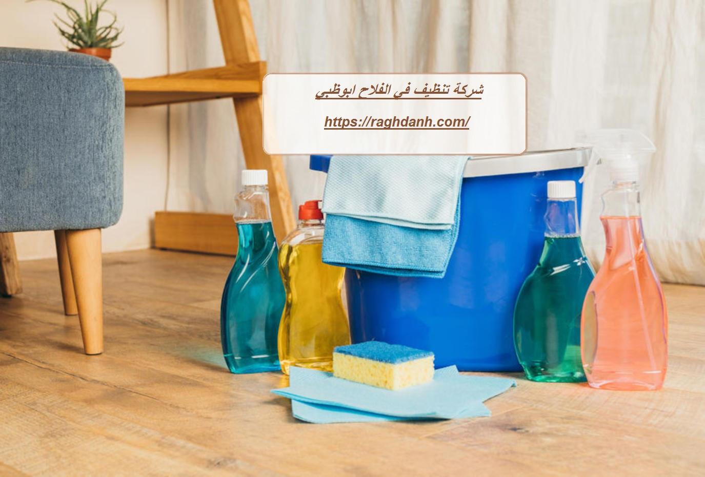 شركة تنظيف في الفلاح ابوظبي