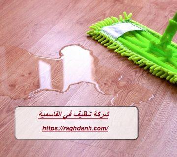 شركة تنظيف في القاسمية