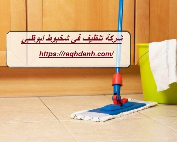 شركة تنظيف في شخبوط ابوظبي