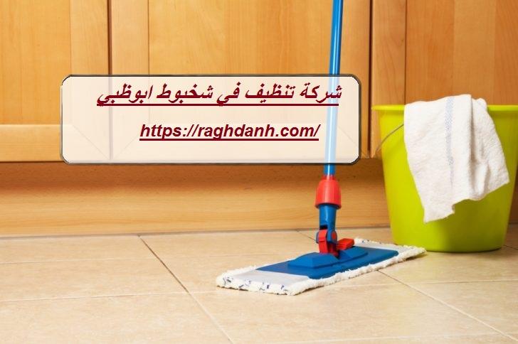 شركة تنظيف في شخبوط ابوظبي