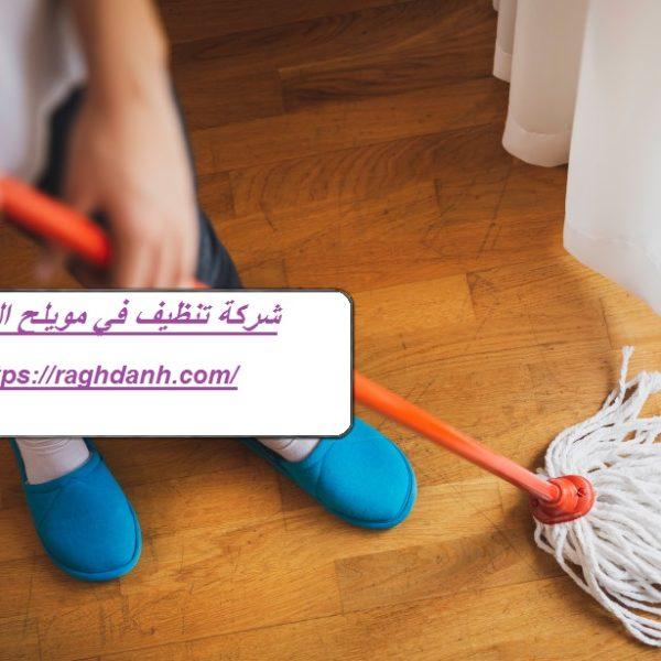 شركة تنظيف في مويلح الشارقة