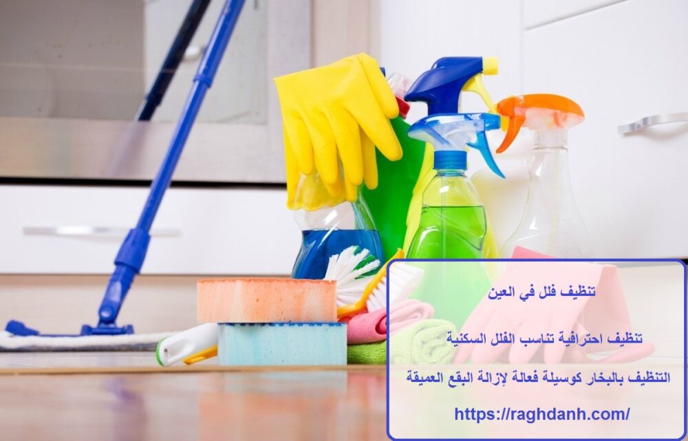 تنظيف فلل في العين