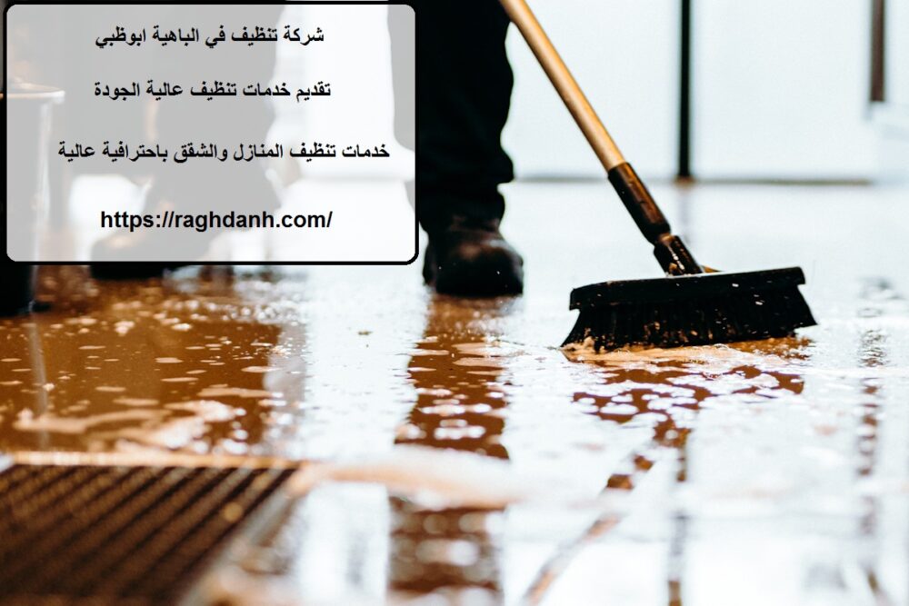 شركة تنظيف في الباهية ابوظبي