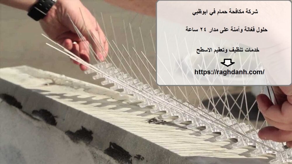 شركة مكافحة حمام في ابوظبي