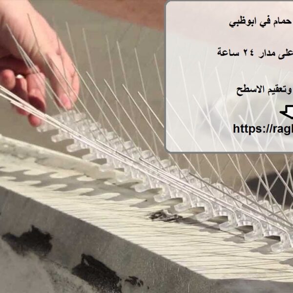 شركة مكافحة حمام في ابوظبي